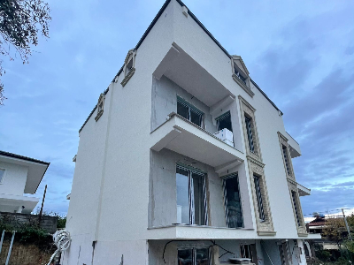 Rikonstruksioni i plote i viles Rikonstruksioni i plote i viles